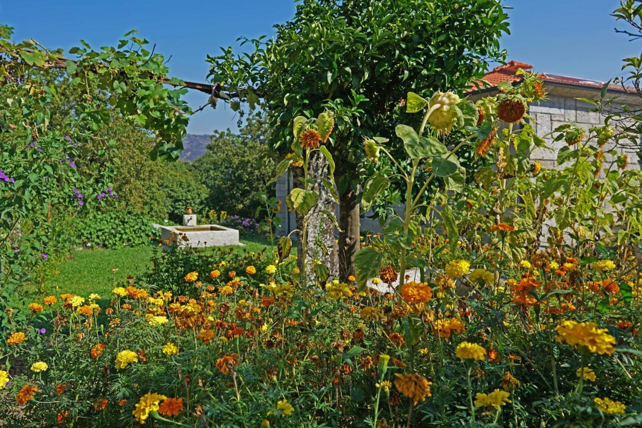Casa Do Vale Guest House Fafe Luaran gambar