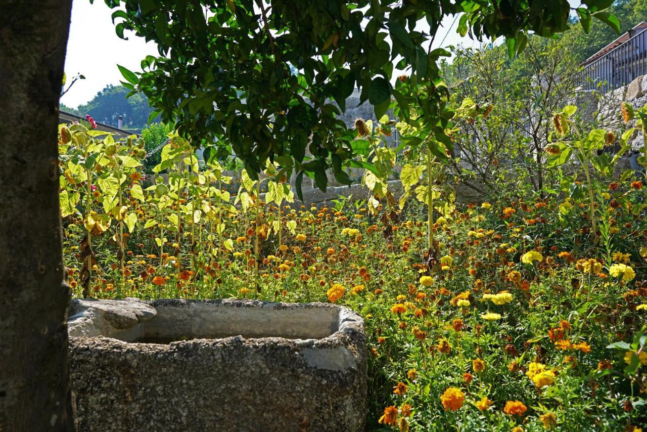 Casa Do Vale Guest House Fafe Luaran gambar